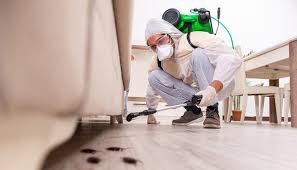 Pest Control for Hotels in Rotan, TX